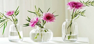 Cvetni aranžmani u vazi