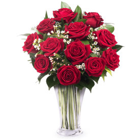 12 crvenih ruža-maroko