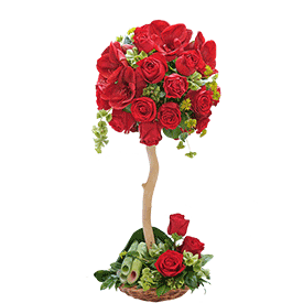 Drvo crvenih ruža